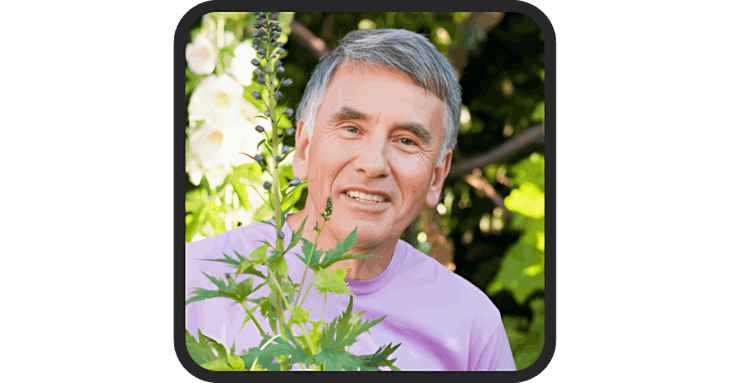 MEN Balance Pro Reviews